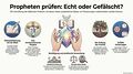 Vorschaubild der Version vom 11:29, 13. Sep. 2026
